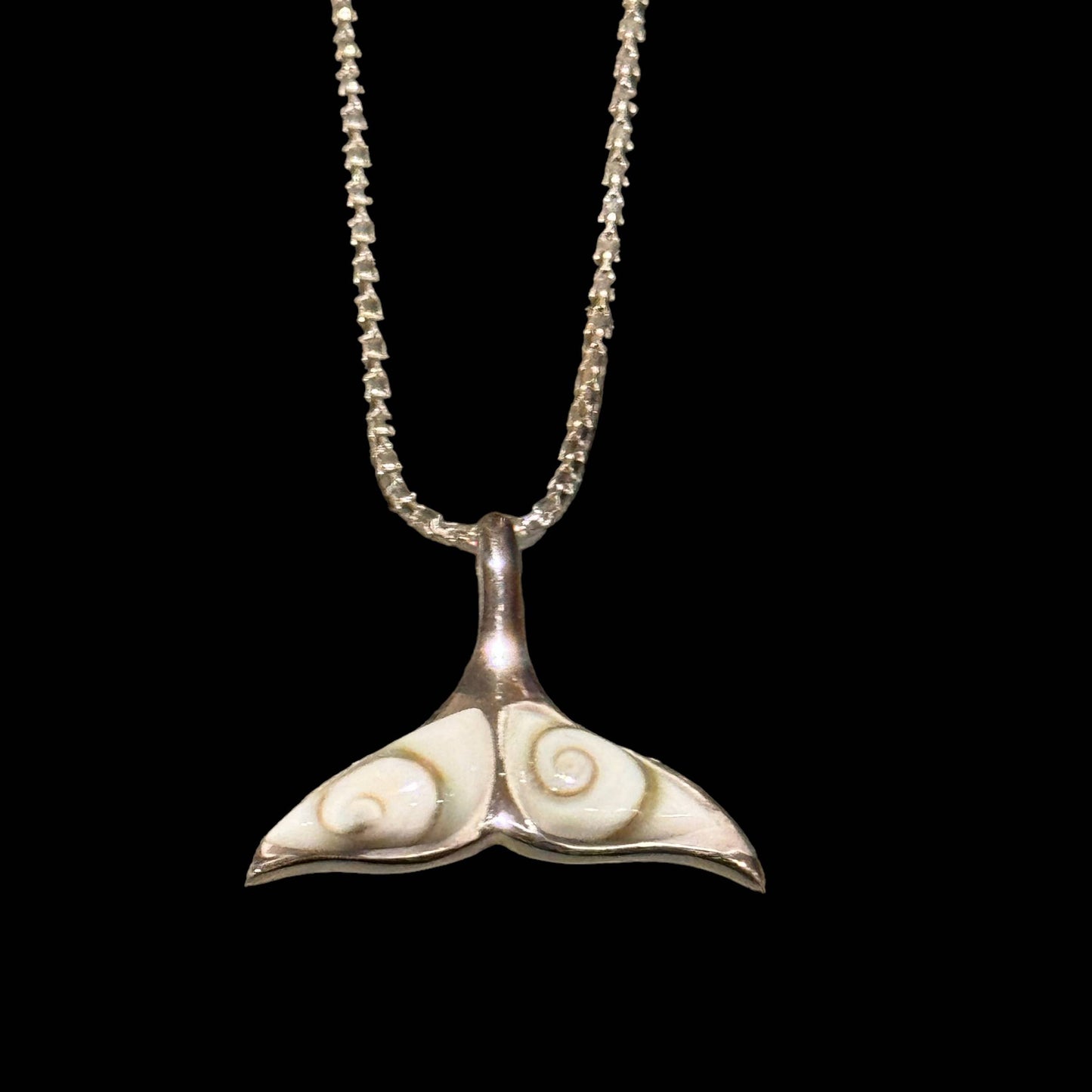 Shiva Shell Whale Tail - by Jackie Gallagher Designs
