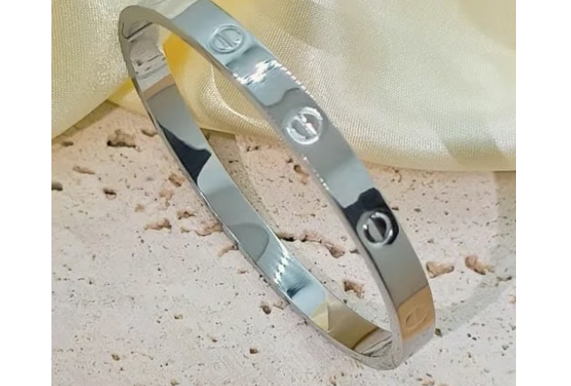 Titanium Steel Bangle Bracelet
