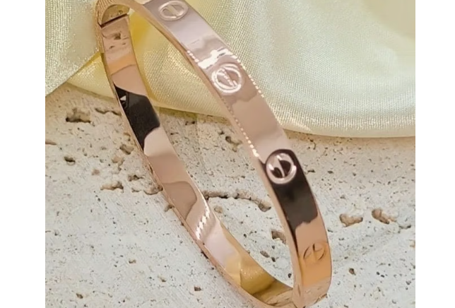 Rose Gold Bangle Bracelet - Titanium Stainless Steel