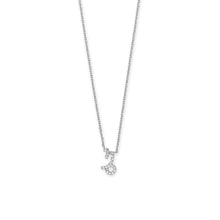 Load image into Gallery viewer, 16&quot; Rhodium Plated CZ Zodiac Necklace (All Signs)
