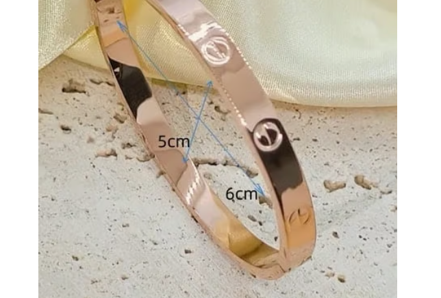 Titanium Steel Bangle Bracelet