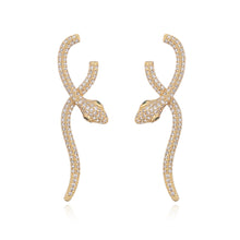 Load image into Gallery viewer, Gorgeous Snake Earrings
