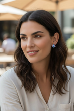 Load image into Gallery viewer, Passion Triangle Stud Earrings
